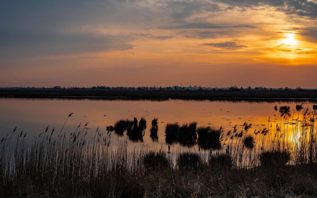 Fedezd fel Kis-Balaton környékét