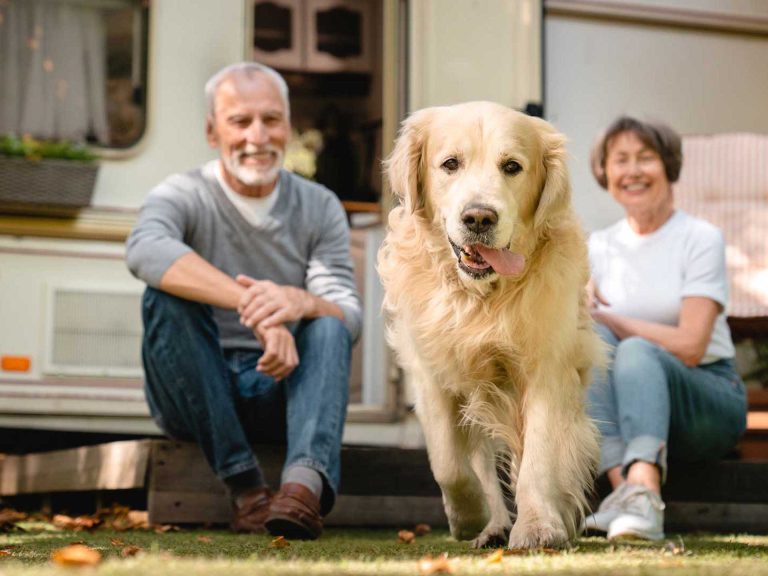 kutyabarát kisállatbarát kemping Zalakaros Thermal Camping