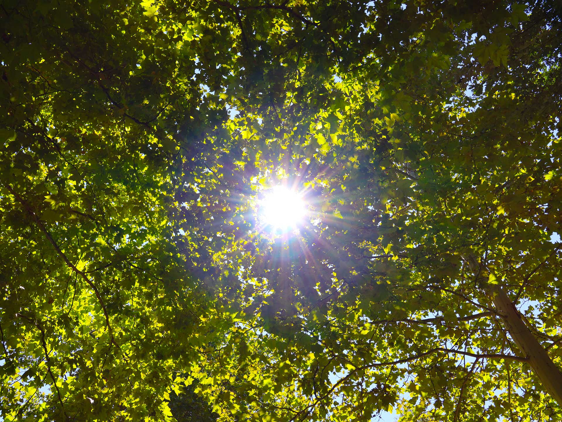 Herbstmüdigkeit Ausflug Zalakaros Camping Thermalbad