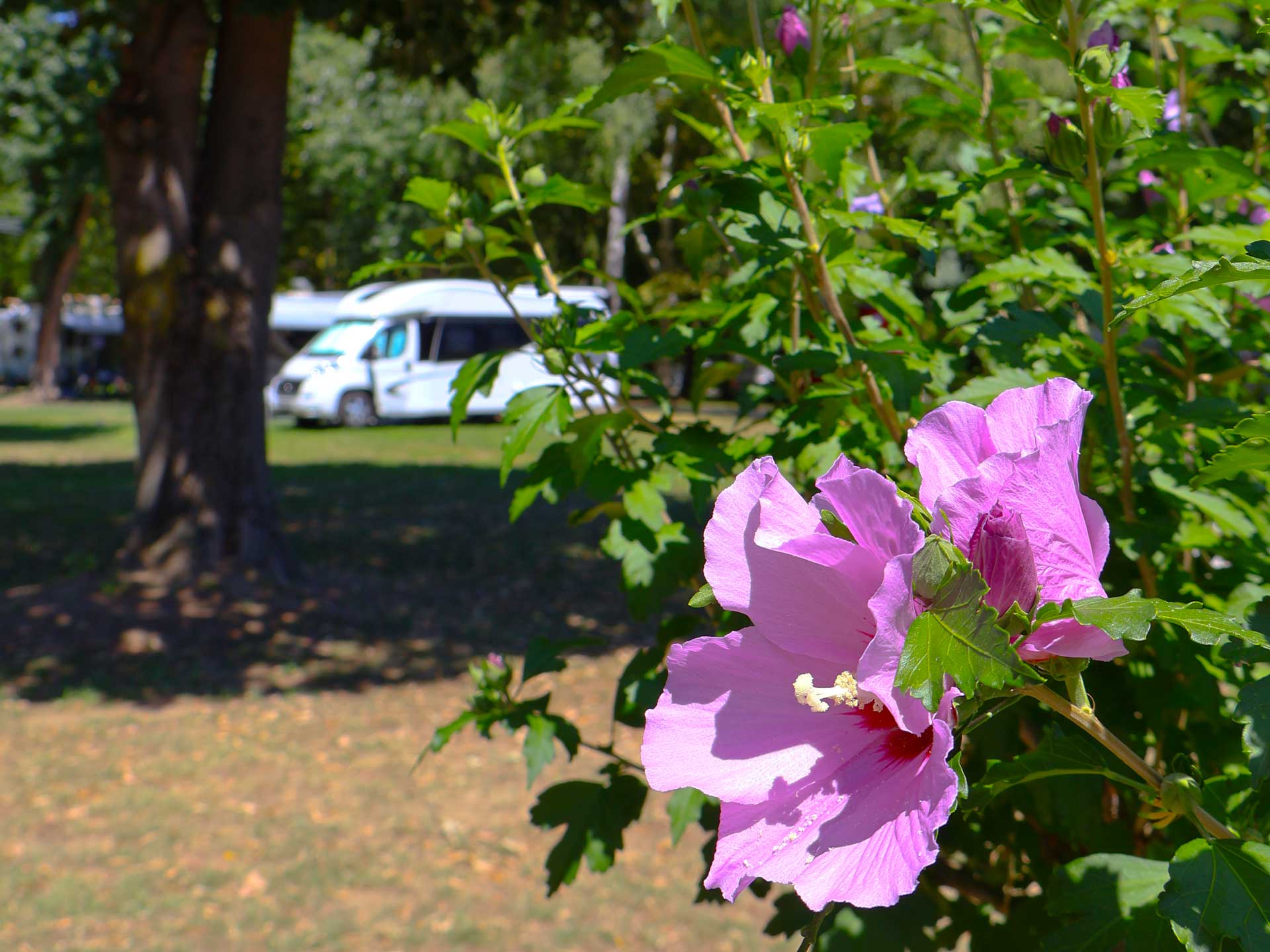 Herbstmüdigkeit Ausflug Zalakaros Camping Thermalbad