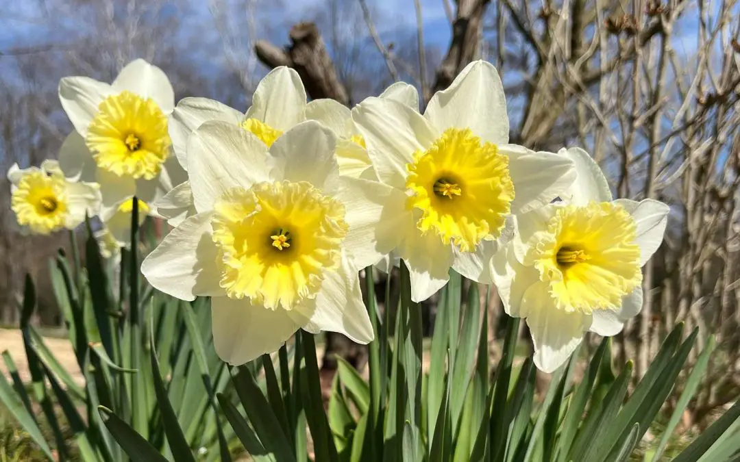 Eine besondere Unterkunft in Zalakaros – Camping und Erlebnisse auch im Frühling