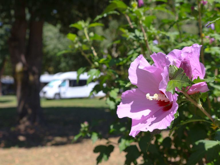 lakókocsi sátor kemping Thermal Camping Zalakaros